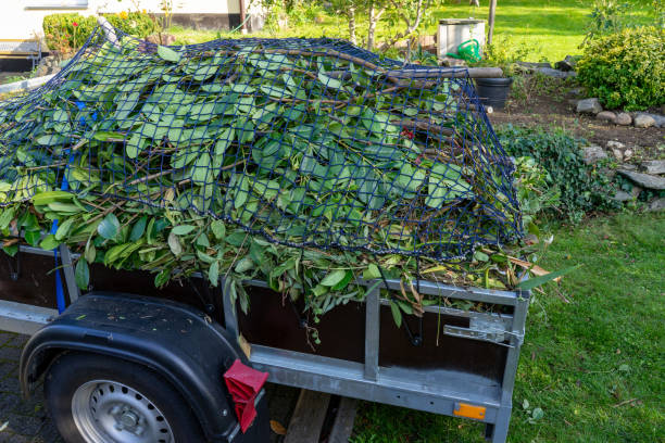 Best Hoarding Cleanup  in Merryville, LA